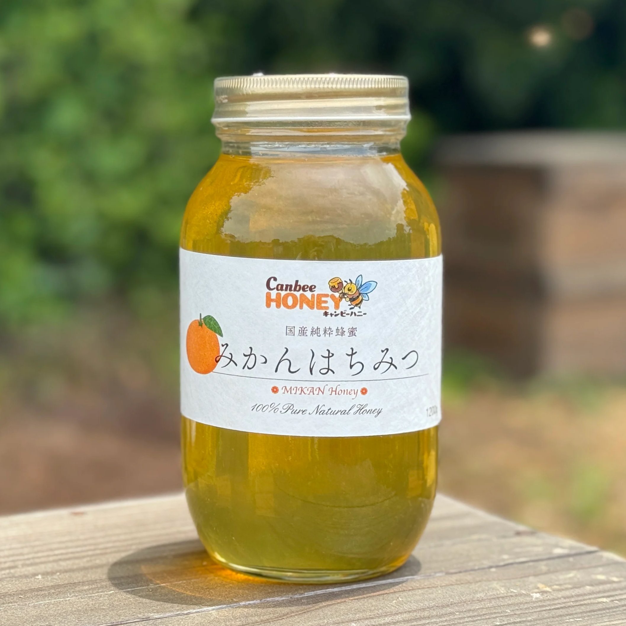 国産みかん蜂蜜1200g×3 国産蜂蜜 みかんはちみつ 1200g 国産はちみつ | CanbeeHONEY