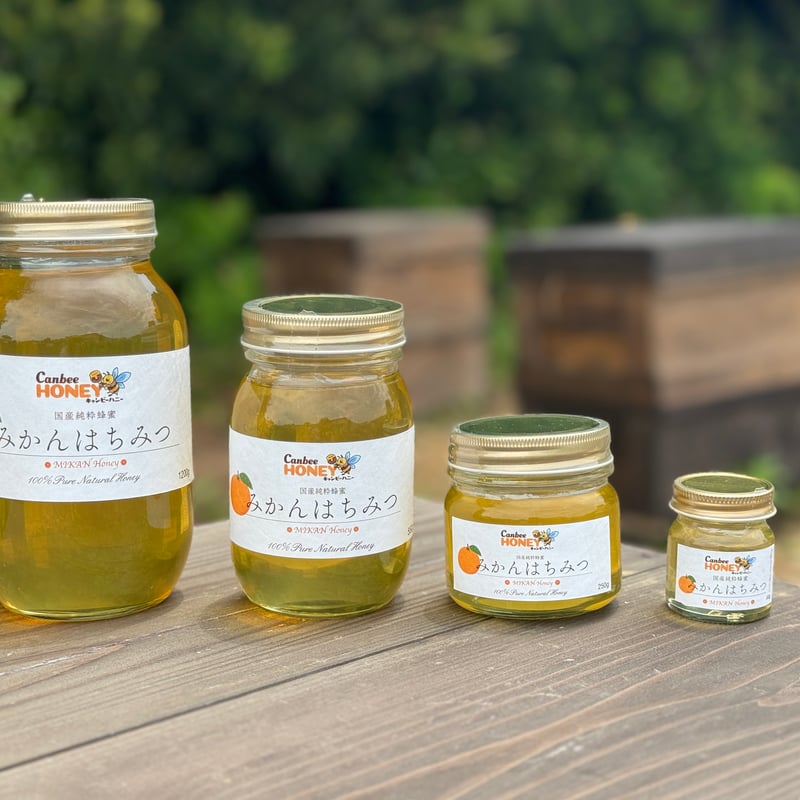 国産蜂蜜 みかんはちみつ 550g 国産はちみつ | CanbeeHONEY キャンビー