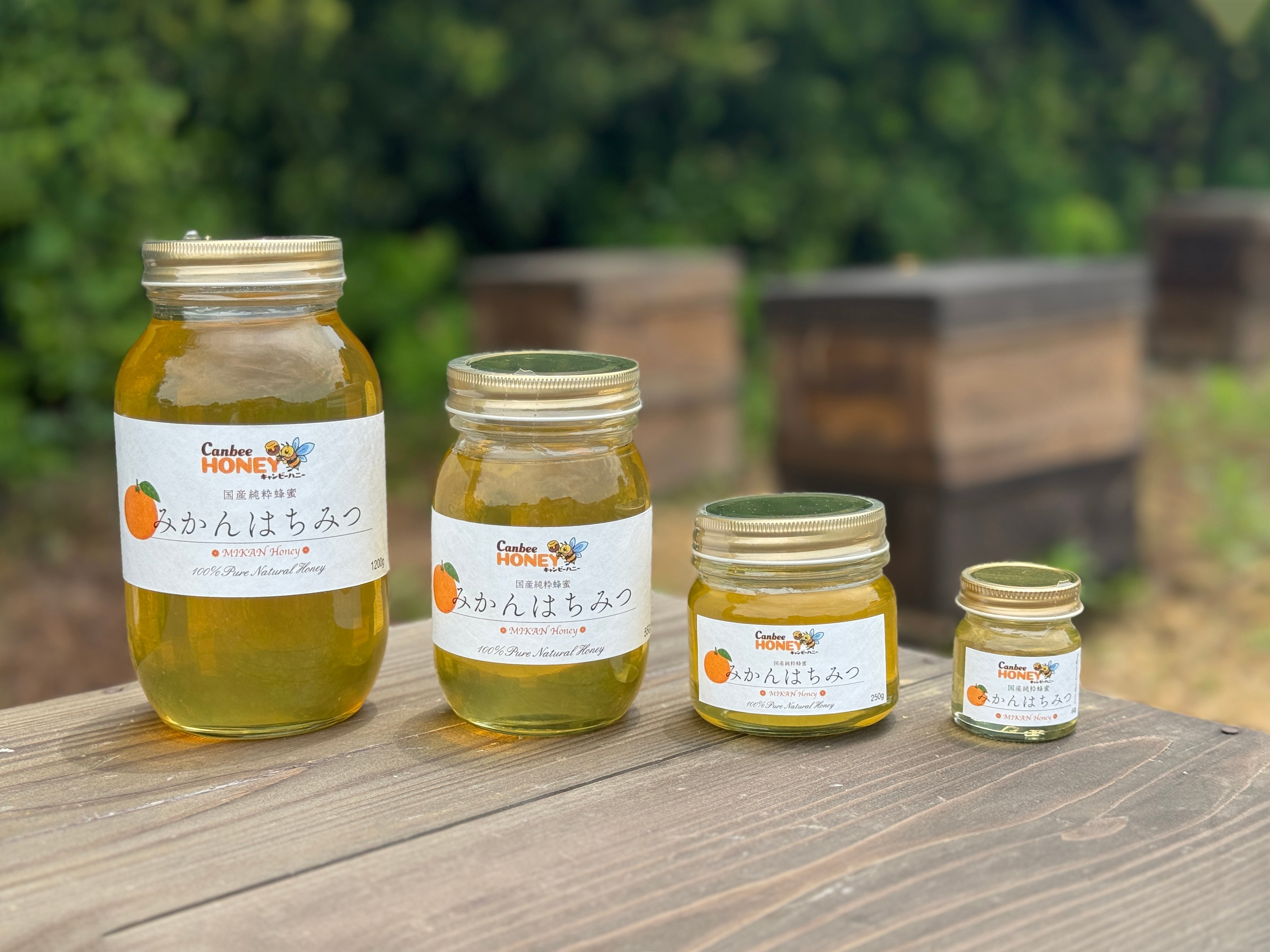国産蜂蜜 みかんはちみつ 550g 国産はちみつ | CanbeeHONEY キャンビー