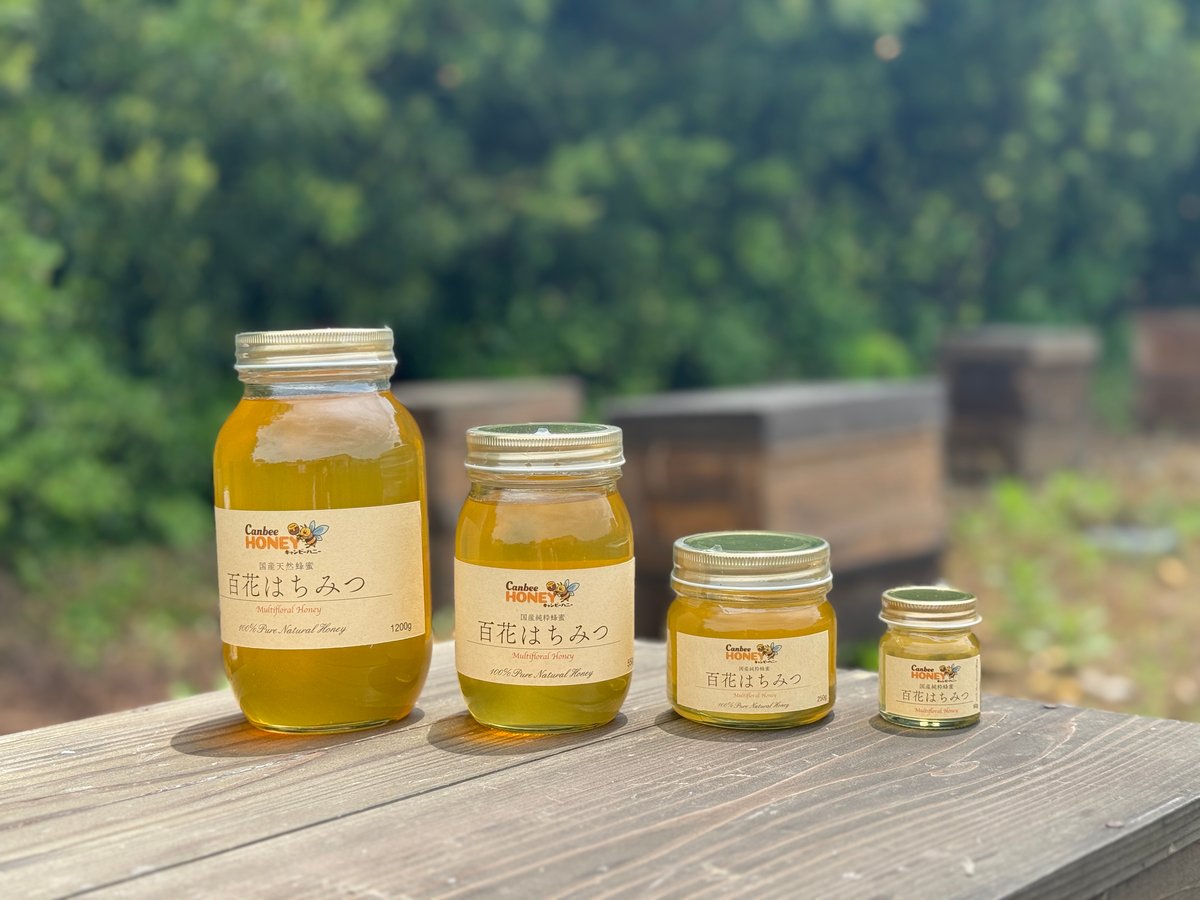 国産蜂蜜 百花はちみつ 550g 国産はちみつ | CanbeeHONEY キャンビーハニー