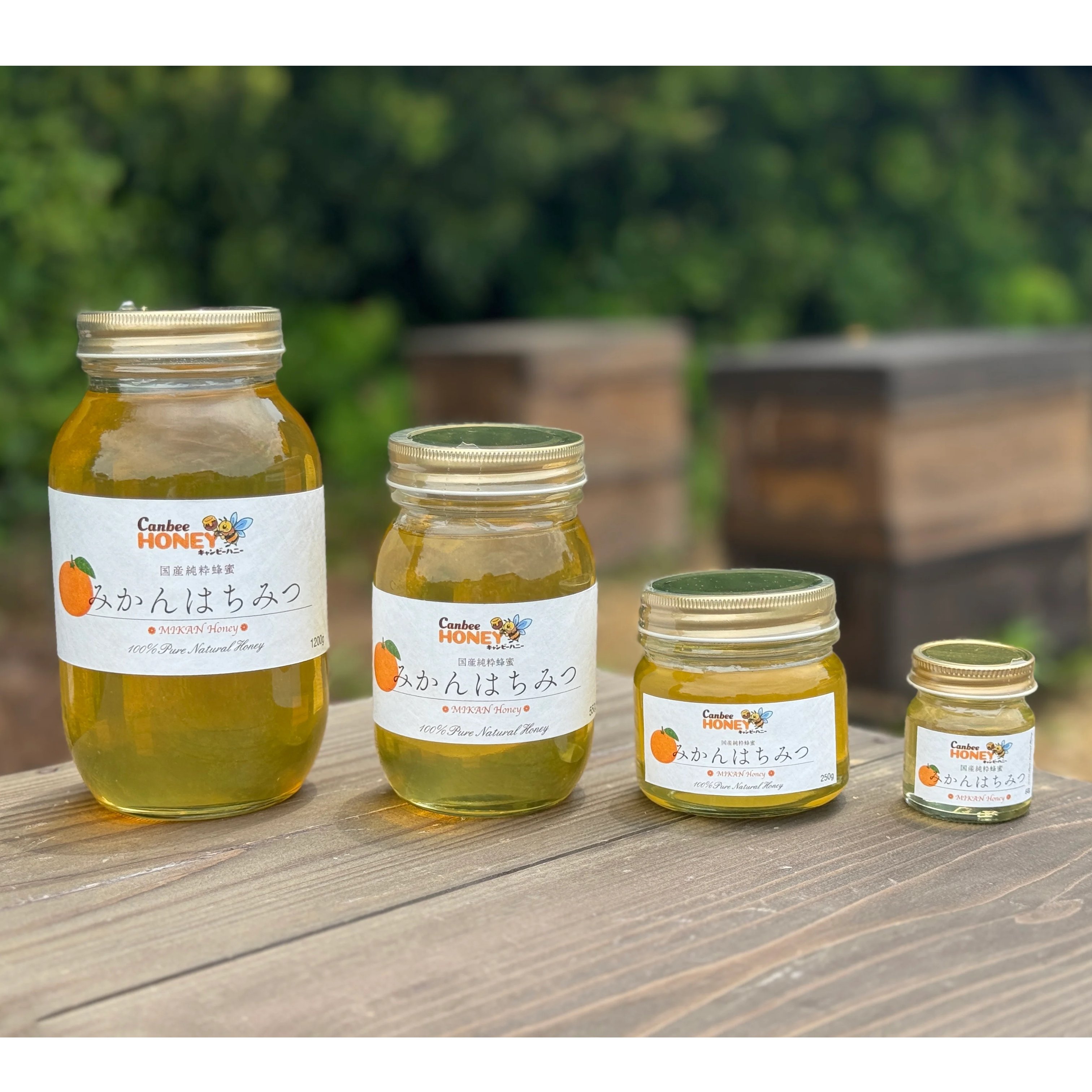 国産蜂蜜 みかんはちみつ 1200g 国産はちみつ | CanbeeHONEY