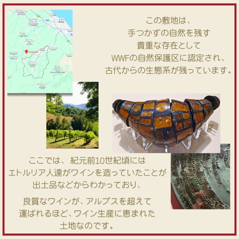 65ab773ff325fc3e6338b1fa