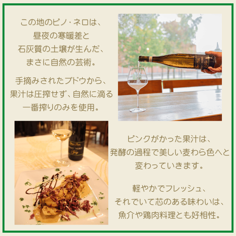 イタリア好き掲載商品】Giorgi / オルトレポ パヴェーゼ DOC ピノ ネロ