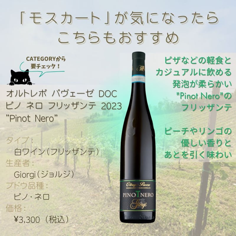 Gabriele Scaglione / モスカート ダスティ DOCG 
