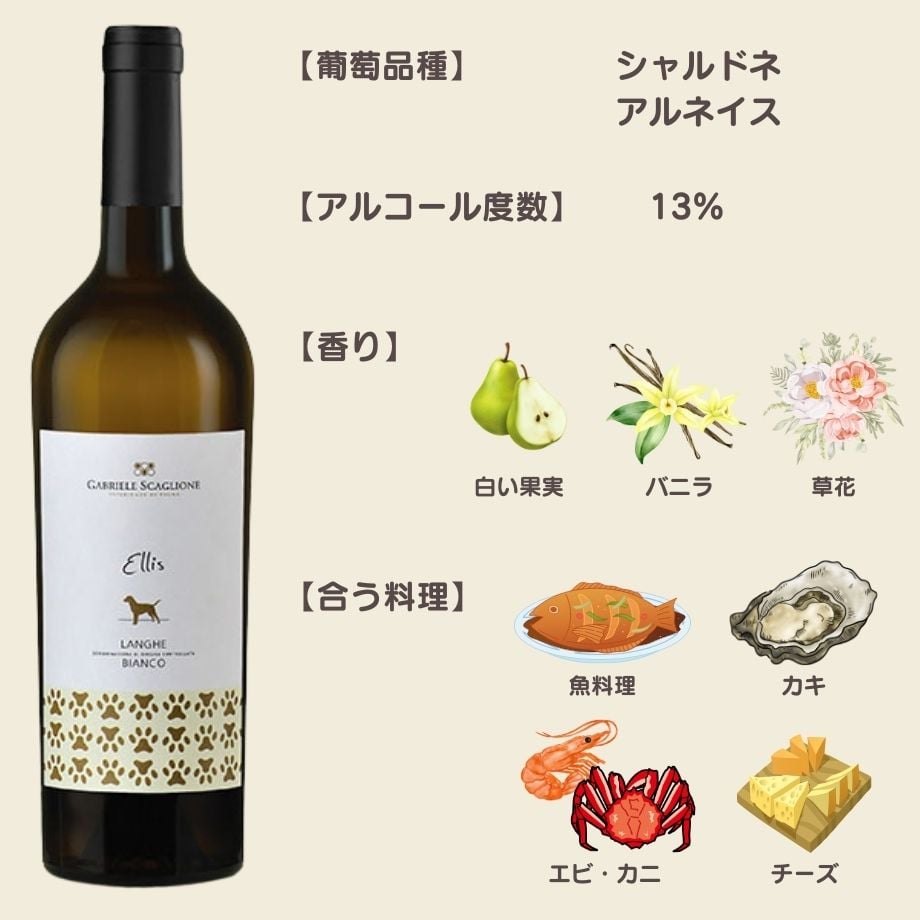 パピリオ・アレクサノール（1オス、フランス/アルプス産） パピリオ・アレクサノール（1オス、フランス/アルプス産）