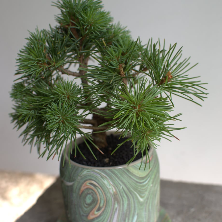 69605678ff9a5318beda00e5