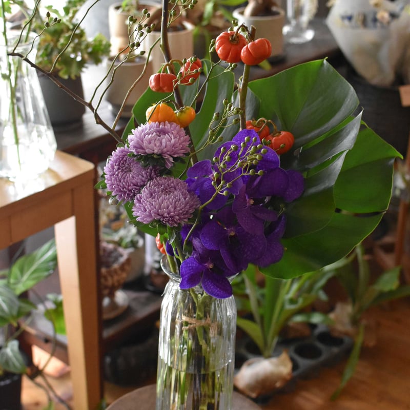 花便り】ブーケM お花の定期便 | hirugao