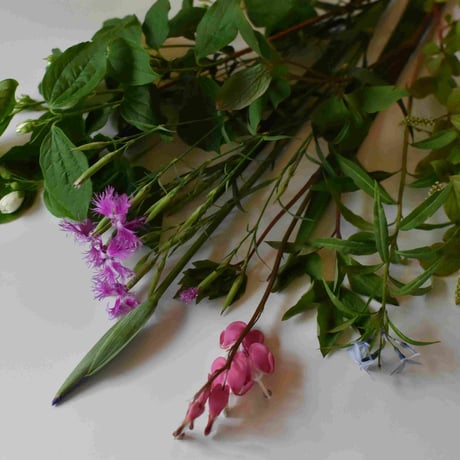 【花便り】アソートS(和花/茶花)