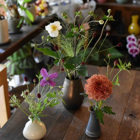 【花便り】アソートS(和花/茶花) お花の定期便