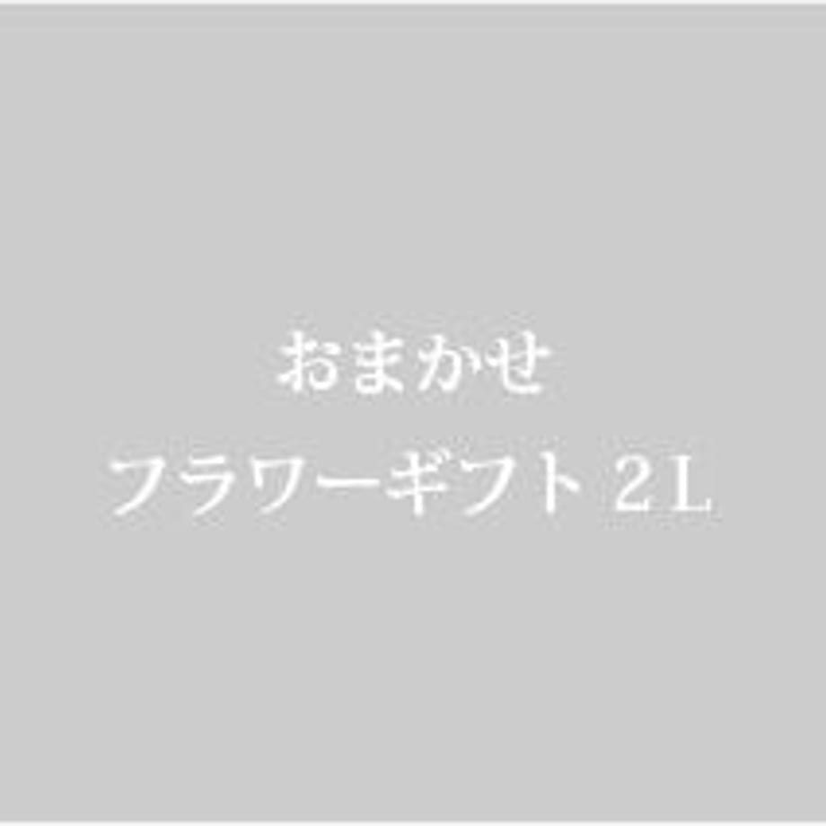 64e84b8fb14f5810c1d16585