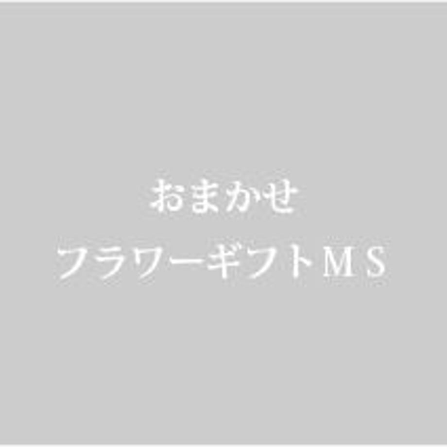 64e8490eef91a719b249dc55