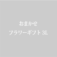 おまかせフラワーギフト3L