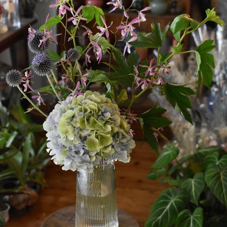 【花便り】ブーケM お花の定期便