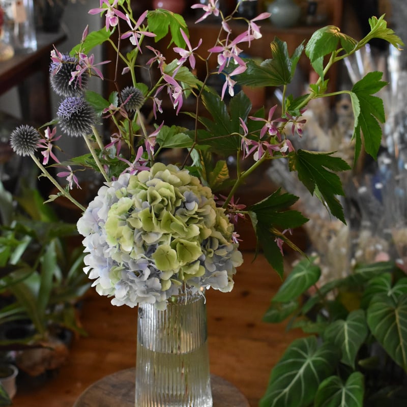 花便り】ブーケM お花の定期便 | hirugao