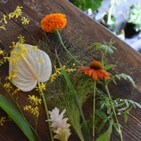 【花便り】アソートS お花の定期便