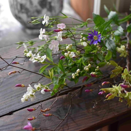 【花便り】アソートS(和花/茶花)