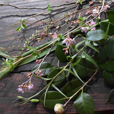 【花便り】アソートS(和花/茶花) お花の定期便
