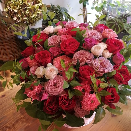 CATEGORY 蓮花ーれんかー | hirugao