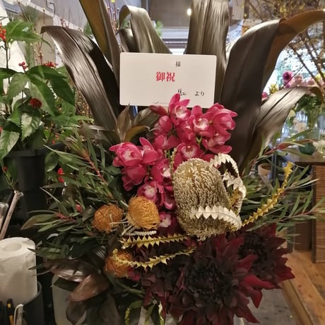 CATEGORY 蓮花ーれんかー | hirugao