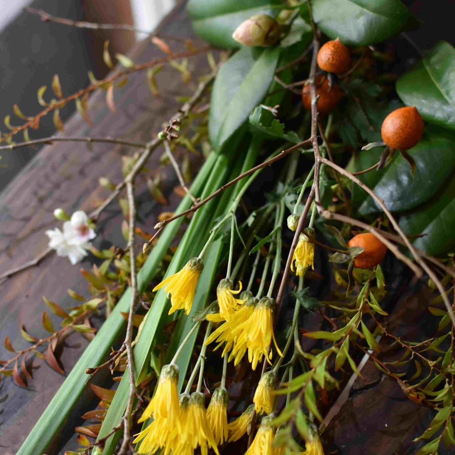 66922b542bd35e16a4fbf62f