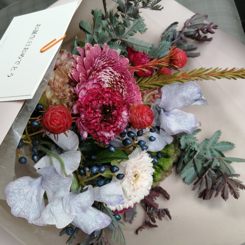 まるで花束 フィカスジン ナチュラル仕立て まるで花束 フィカスジン ナチュラル仕立て