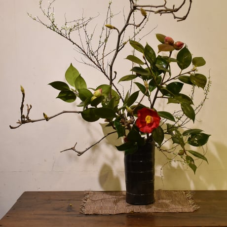 【花便り】アソートM(和花/枝物) お花の定期便