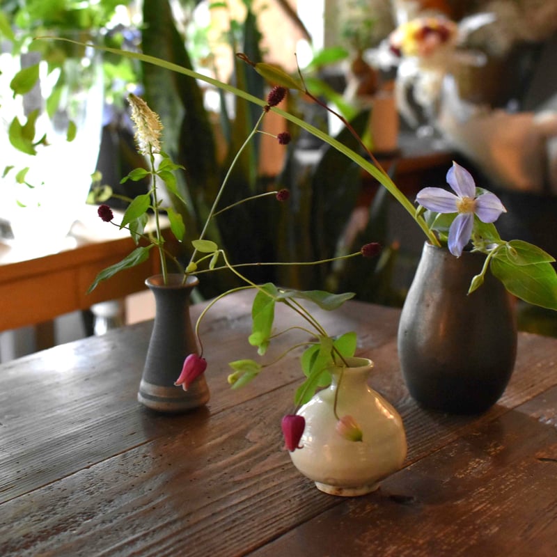花便り】アソートS(和花/茶花) お花の定期便 | hirugao