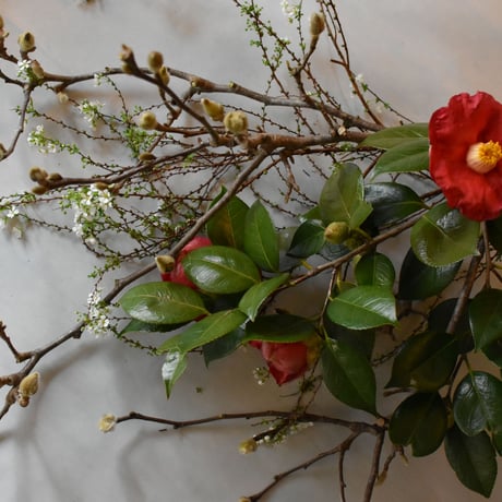 【花便り】アソートM(和花/枝物) お花の定期便