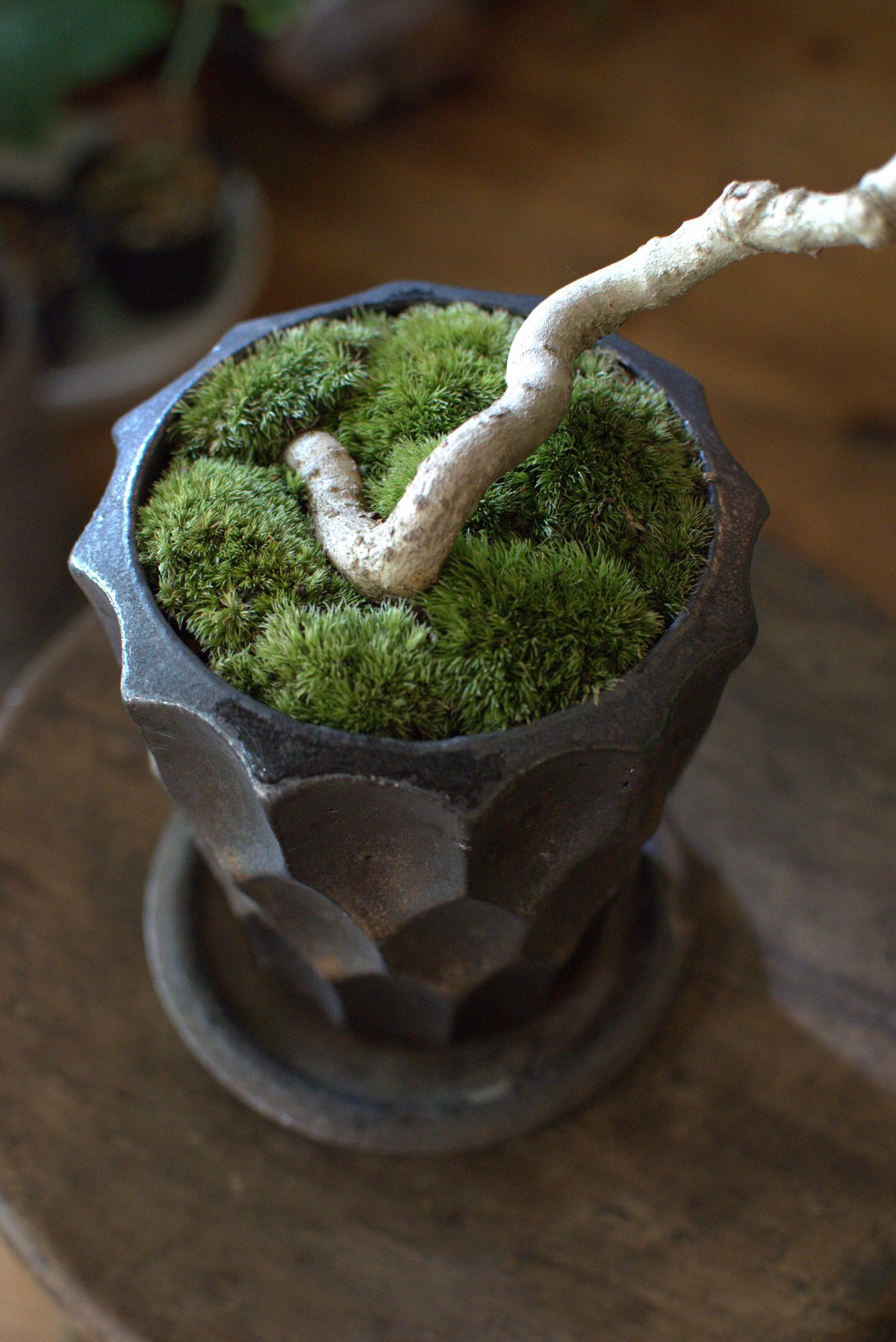 fit=scale-down,w=1200