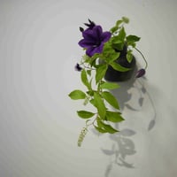 【花便り】アソートSS(和花/茶花)