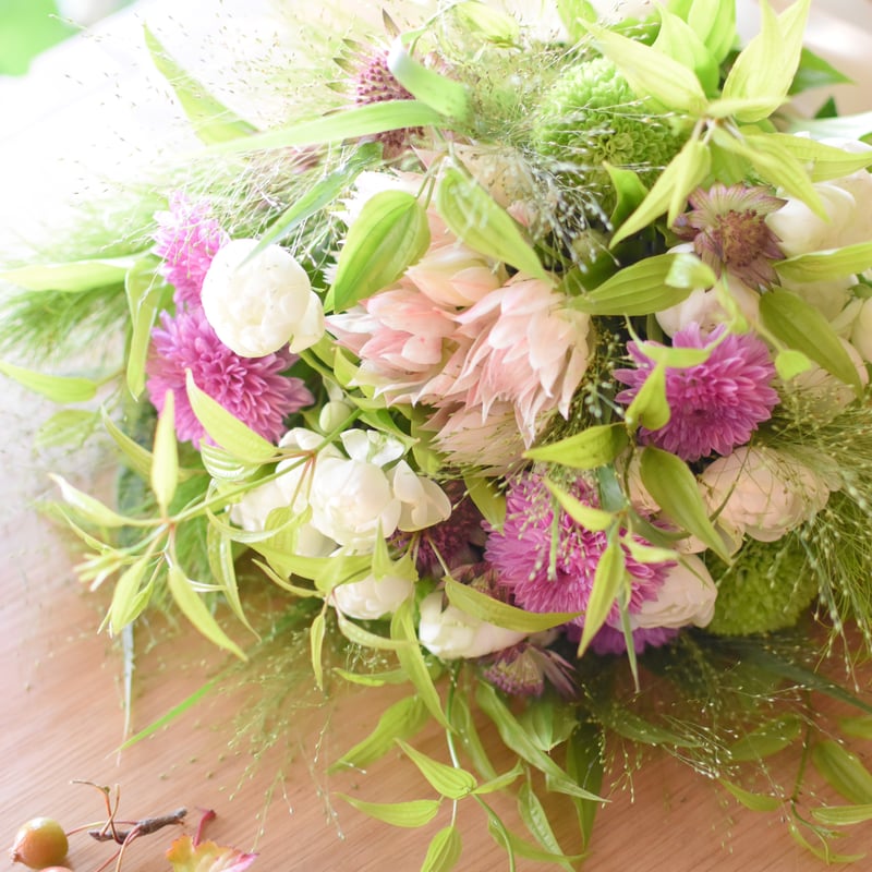 まるで花束 フィカスジン ナチュラル仕立て まるで花束 フィカスジン ナチュラル仕立て