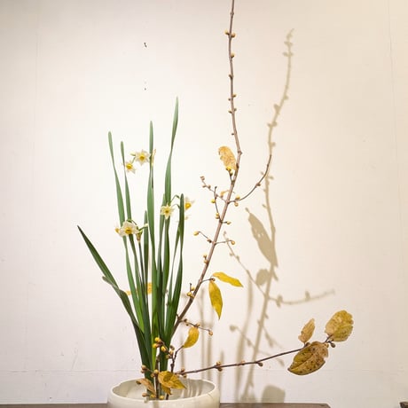【花便り】アソートM(和花/枝物) お花の定期便