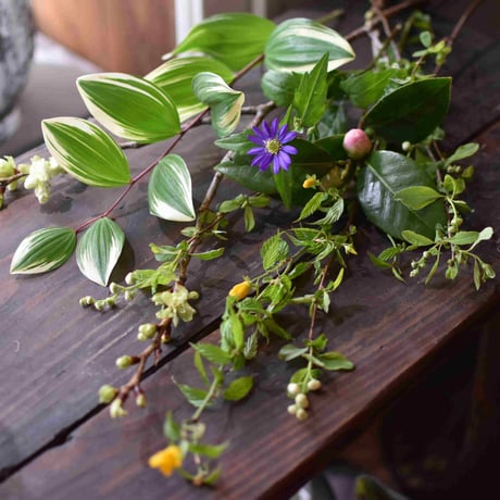 【花便り】アソートS(和花/茶花) お花の定期便
