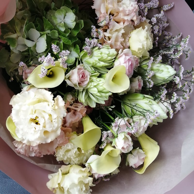 まるで花束 フィカスジン ナチュラル仕立て まるで花束 フィカスジン ナチュラル仕立て