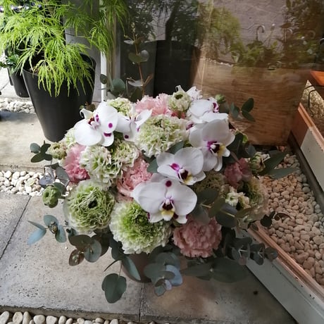 アレンジメント (蓮花) L