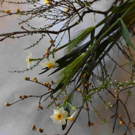 【花便り】アソートM(和花/枝物) お花の定期便