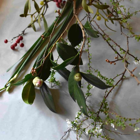 【花便り】アソートS(和花/茶花) お花の定期便