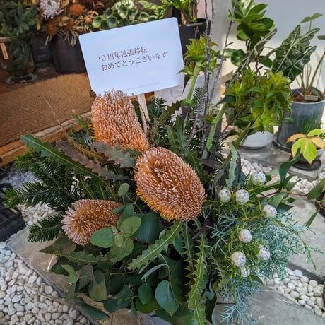 アレンジメント (蓮花) M