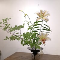 【花便り】アソートM(和花/枝物) お花の定期便