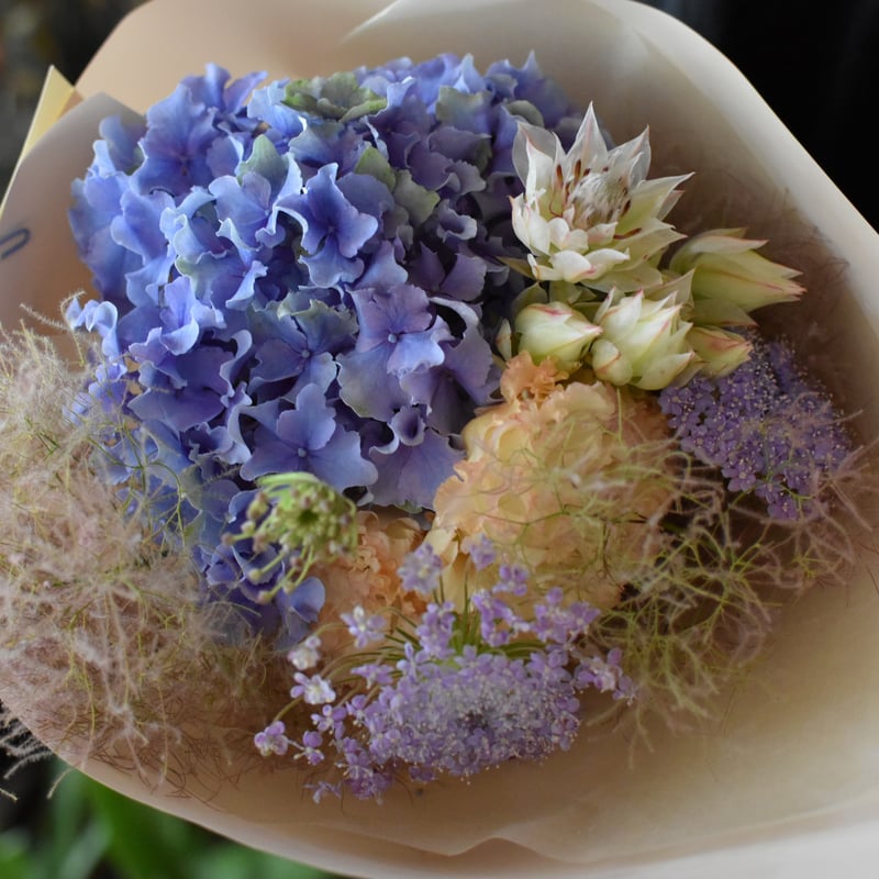 まるで花束 フィカスジン ナチュラル仕立て まるで花束 フィカスジン ナチュラル仕立て