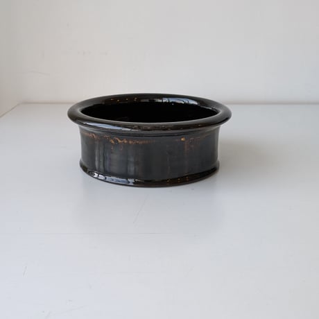 谷口竜 | STORES