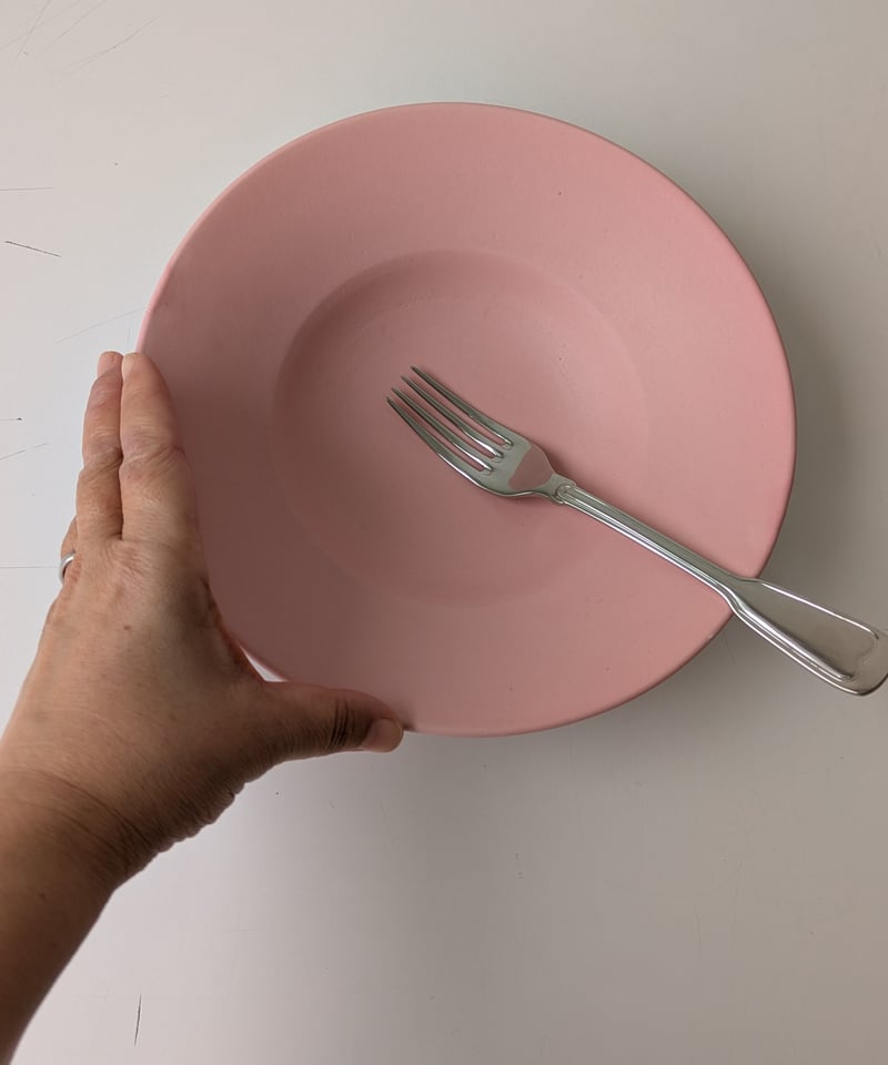 新品未使用 大園篤志 プレート 皿 スープ リム 大園篤志 リム皿 小