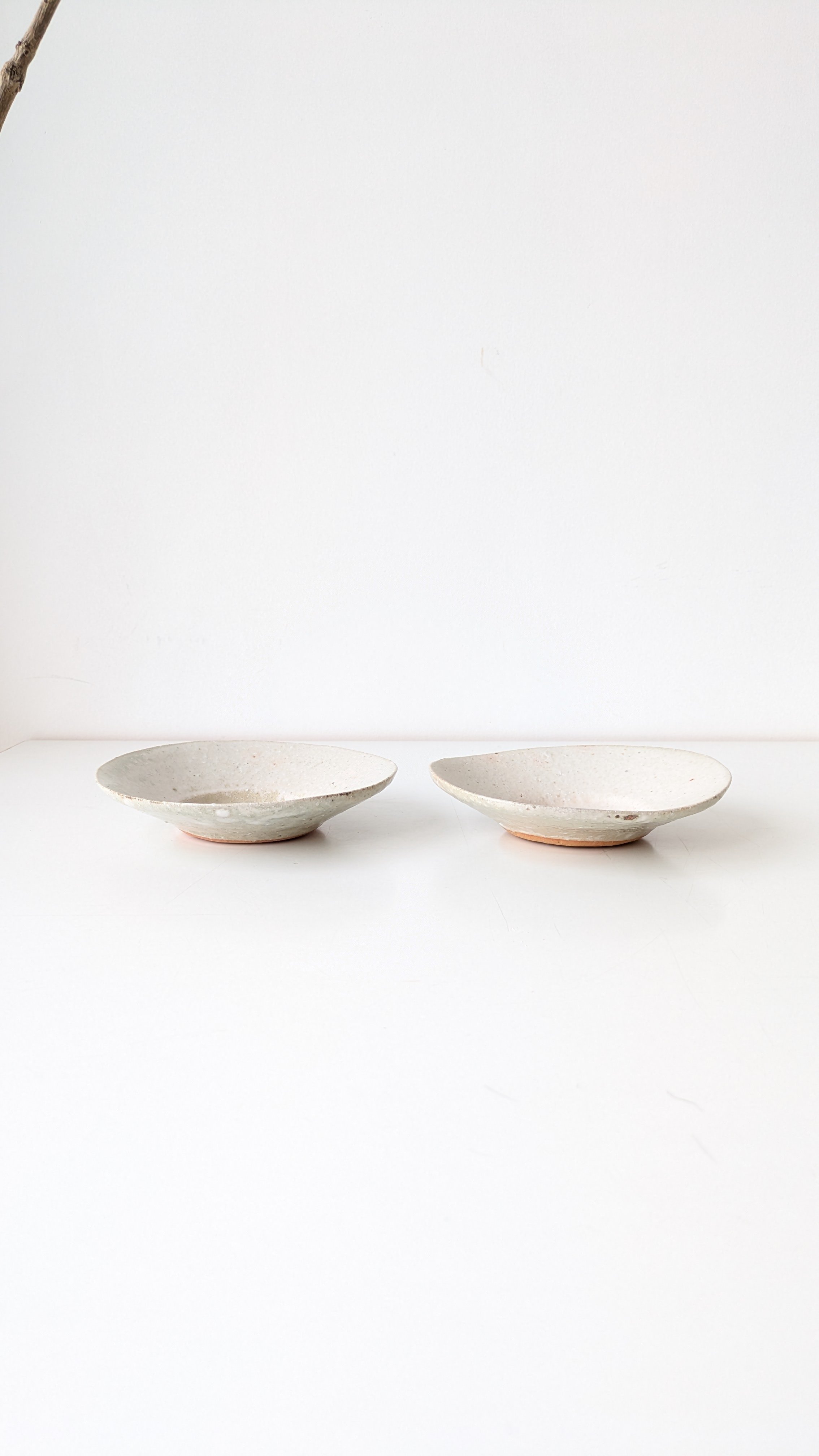 Sale【新品未使用】 十場あすか まる鉢 プレート 十場あすか まる鉢 小 | M a t o ,,t o o l s