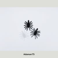 Adaman75 /  6月限定カラー追加