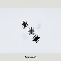 Adaman45 / 6月限定カラー追加