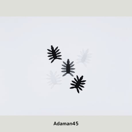 Adaman45 / 6月限定カラー追加