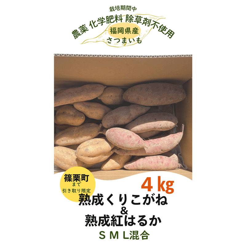 篠栗町まで引き取り限定】熟成くりこがね＆熟成紅はるか 食べ比べ『4 