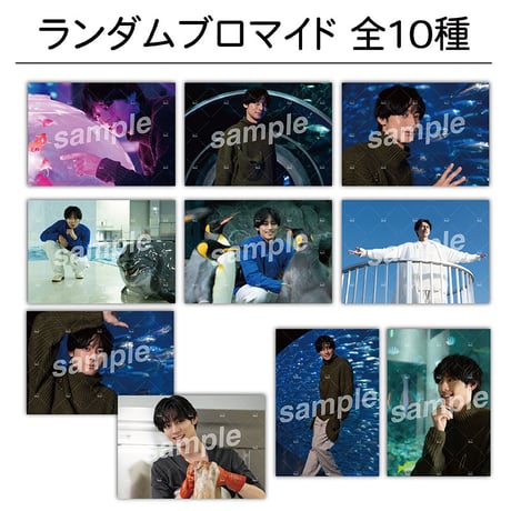 立花裕大 イベントグッズ アクスタ アクキー ブロマイド 缶バ 特典 コンプ CATEGORY 立花裕大 FANMEETING ASIA TOUR2025 | SMILE