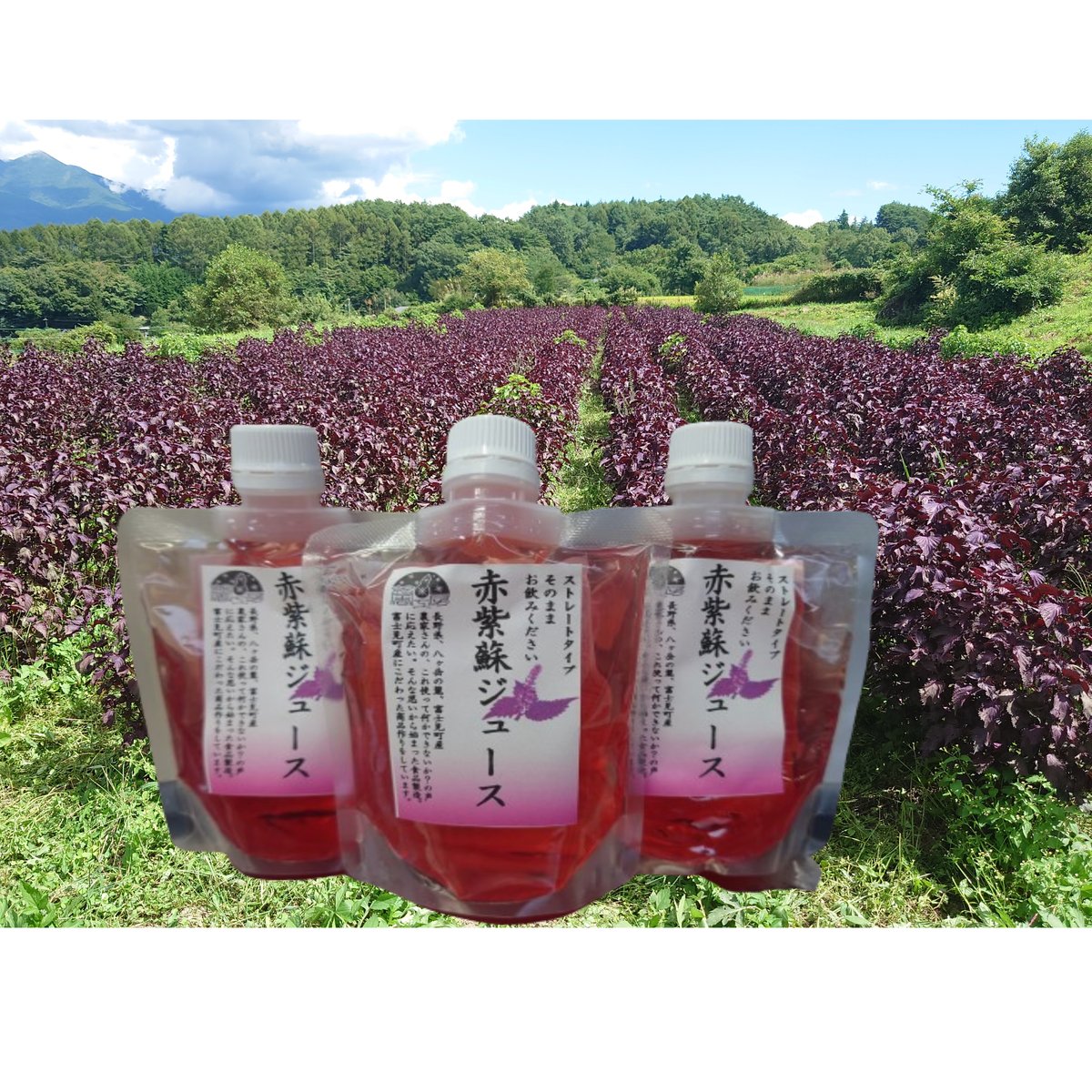 Y 様ご注文品山形県産選べるジュース12本セット(今だけ‼︎赤紫蘇ゼリー6個付き) Y 様ご注文品山形県産選べるジュース12本セット(今だけ‼︎