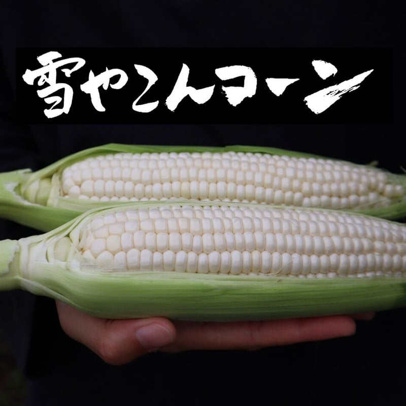 16本】雪やこんコーン | うとさんち オンラインショップ